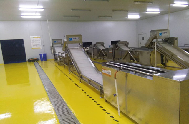 不朽情缘告诉你全自动洗菜机都有哪些功效