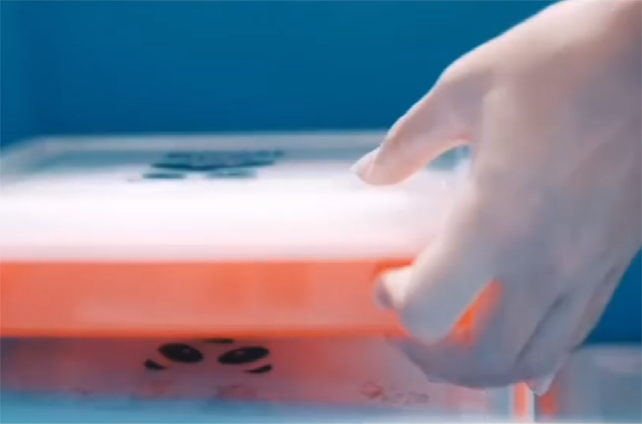 用专业的精神做餐饮——功夫订餐