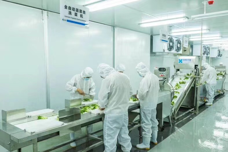 数智赋能，未来已来——厨房智能进化论