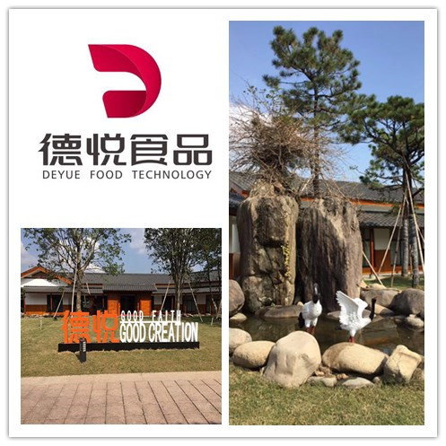 浙江德悦食物科技有限公司-不朽情缘中央厨房浙江案例